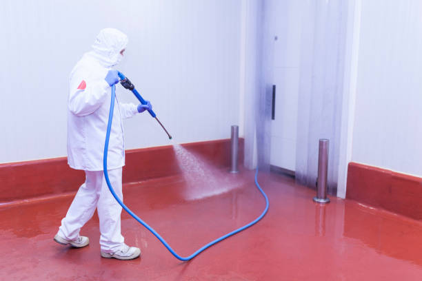 Best Building Exterior Washing  in Shelbyville, KY